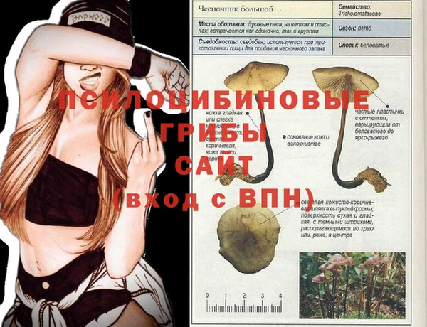 метадон Аркадак